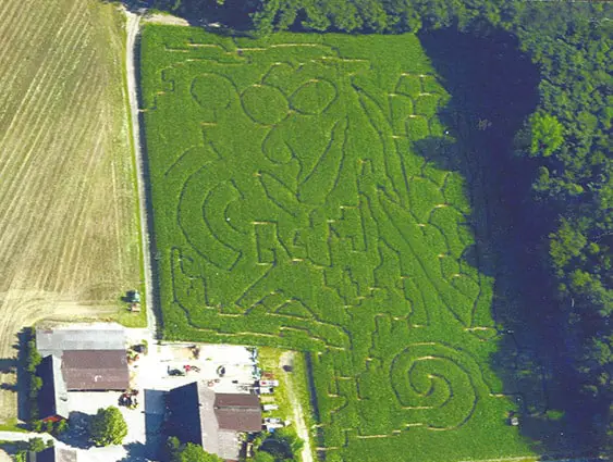 Maislabyrinth 2003 - Pflanzen auf der Spur