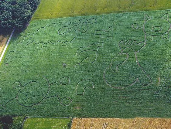 Maislabyrinth 2004 - Hoftiere, Schein und Hühner