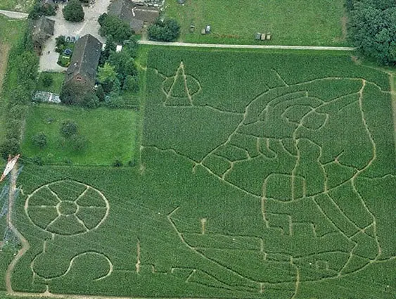 Maislabyrinth 2006 - Stadtskizze von Osnabrück