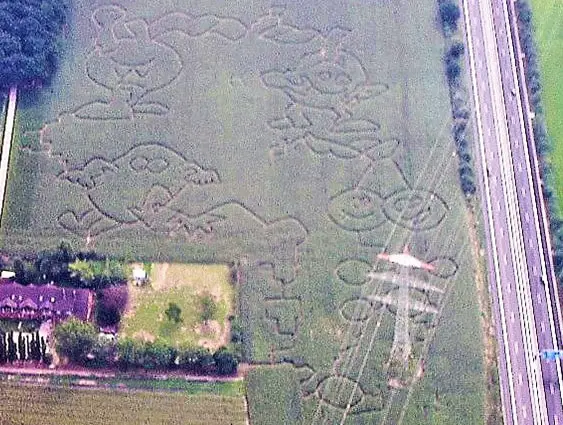 Maislabyrinth 2008 - Obst und Gemüse vom Hof