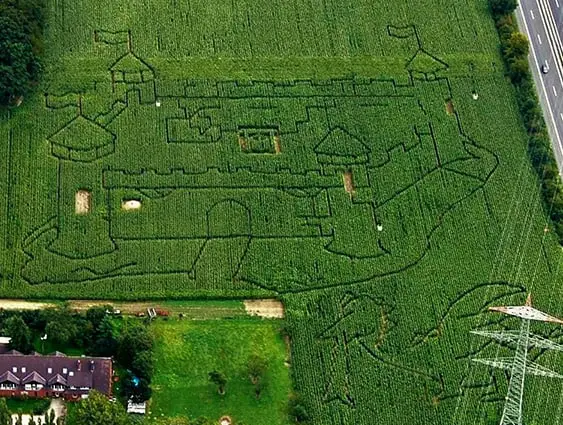 Maislabyrinth 2011 - Besieg den Drachen und erstürm die Burg