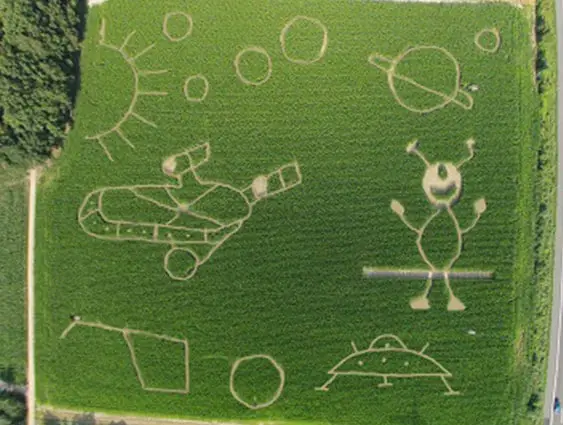 Maislabyrinth 2014 - Die Aliens kommen
