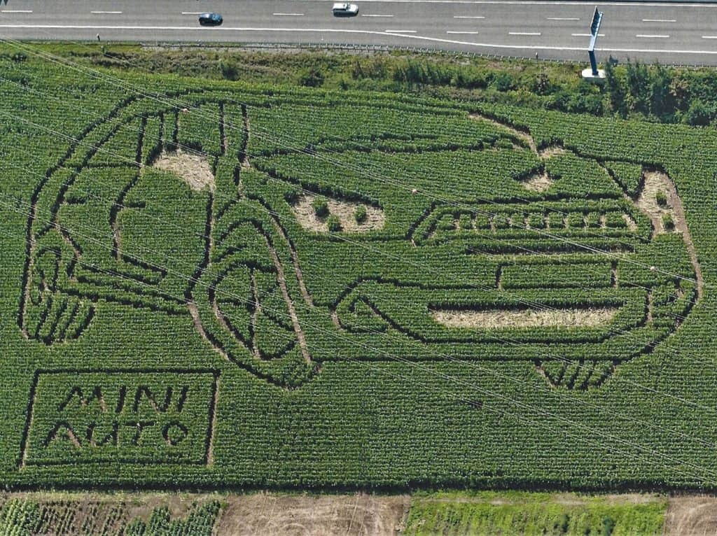Mal richtig grün im Auto unterwegs